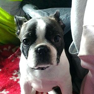 Meet your Posher, Marni